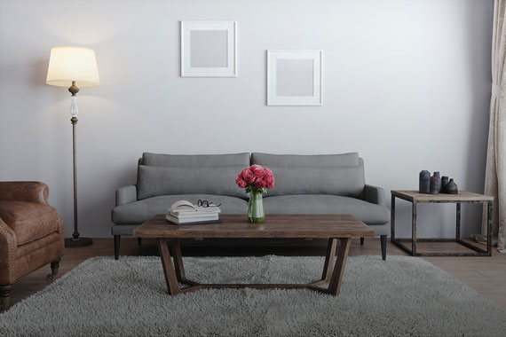 amenities furnishings ECH