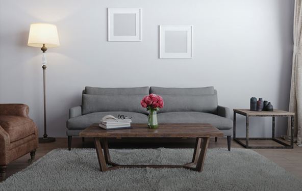 amenities furnishings ECH